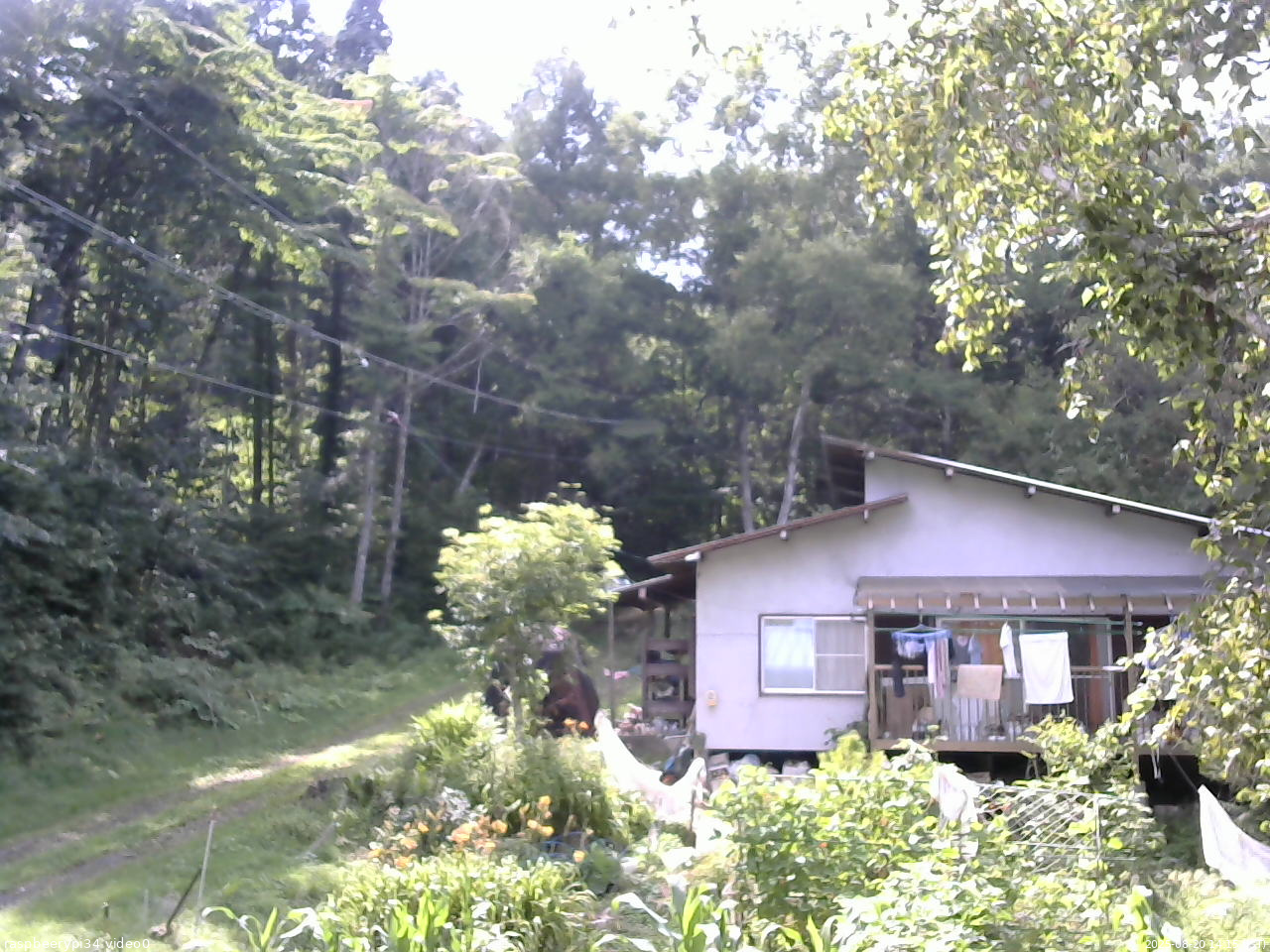 長野県菅平高原 ゆたか山荘 西側(坂上) 2025/08/20 14:15