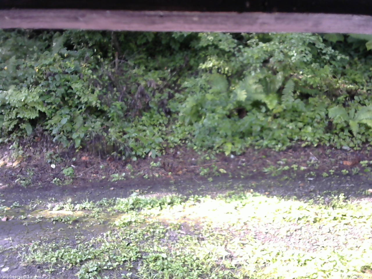 長野県菅平高原 ゆたか山荘 南側 2025/08/21 07:45