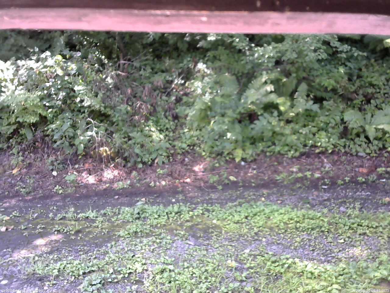長野県菅平高原 ゆたか山荘 南側 2025/08/21 09:45