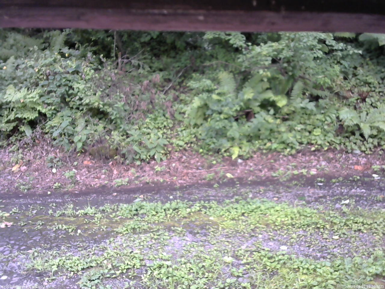 長野県菅平高原 ゆたか山荘 南側 2025/08/21 12:30