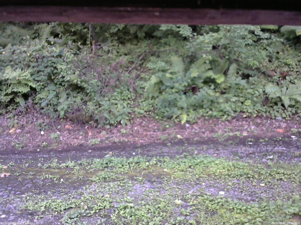 長野県菅平高原 ゆたか山荘 南側 2025/08/21 13:30