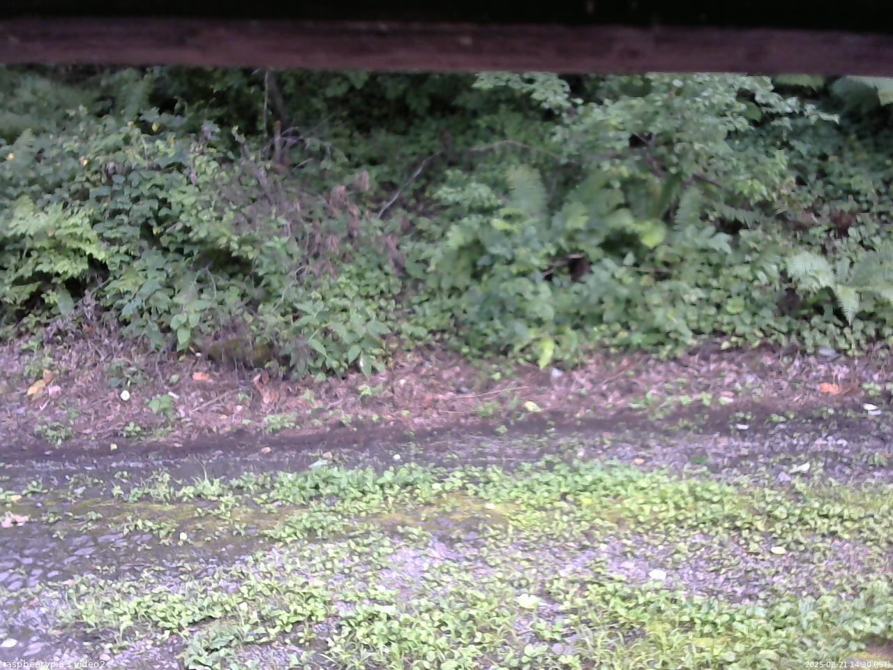 長野県菅平高原 ゆたか山荘 南側 2025/08/21 14:30