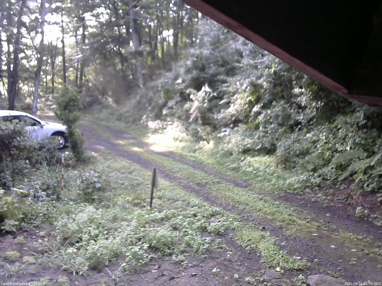 長野県菅平高原 ゆたか山荘 東側(坂下) 2025/08/21 06:45