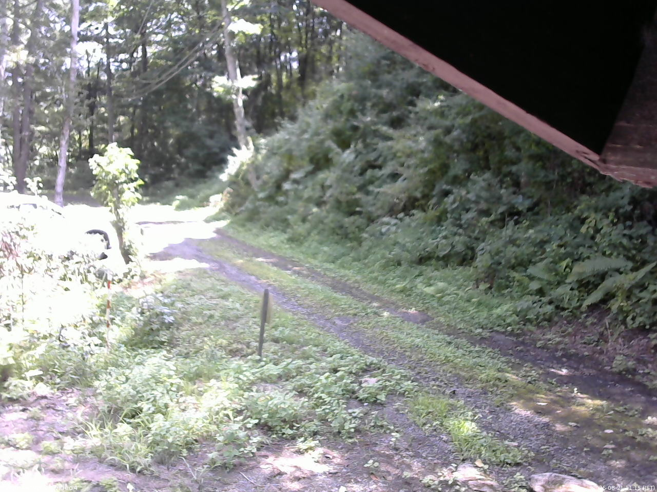 長野県菅平高原 ゆたか山荘 東側(坂下) 2025/08/21 11:15