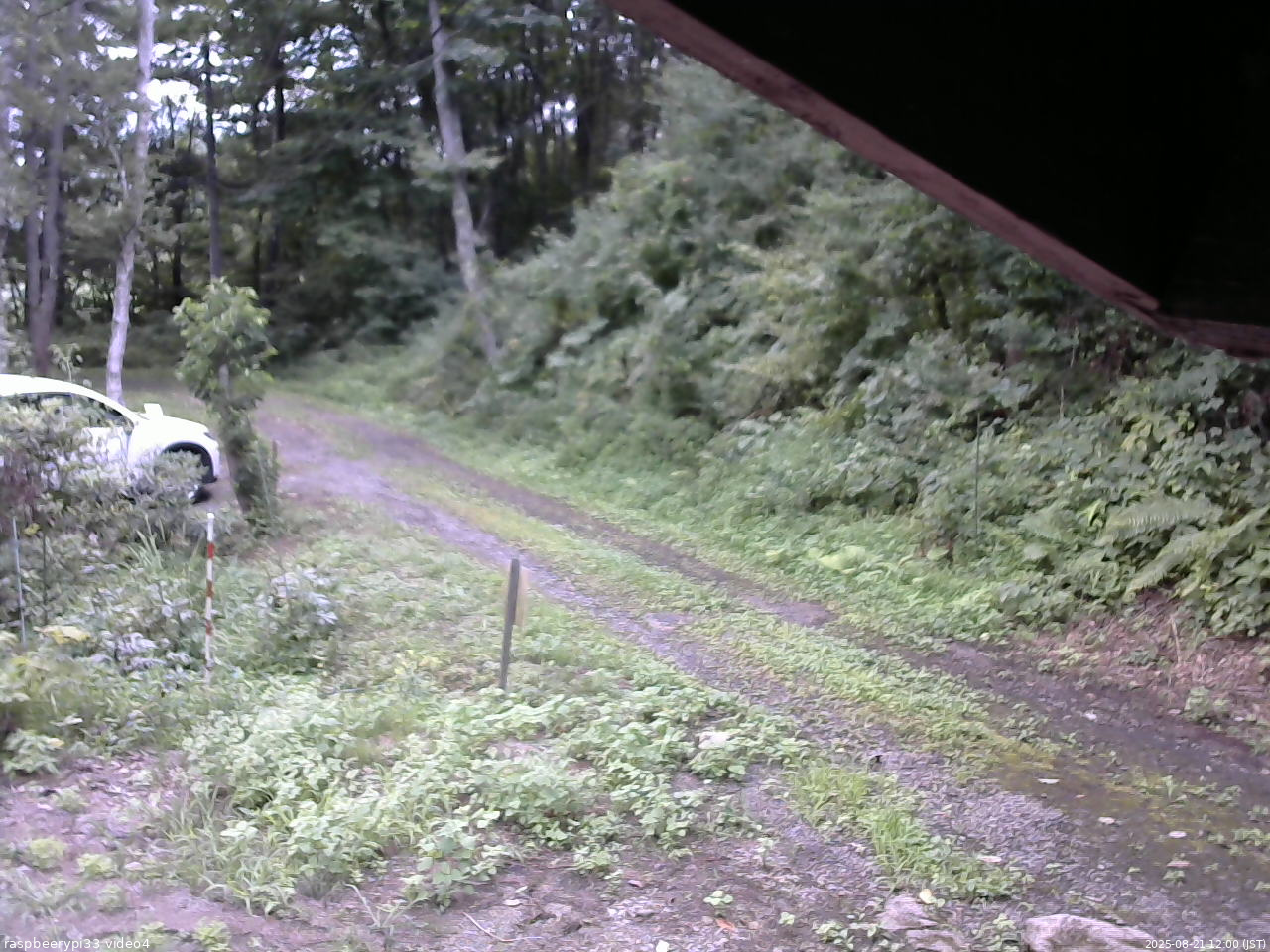 長野県菅平高原 ゆたか山荘 東側(坂下) 2025/08/21 12:00