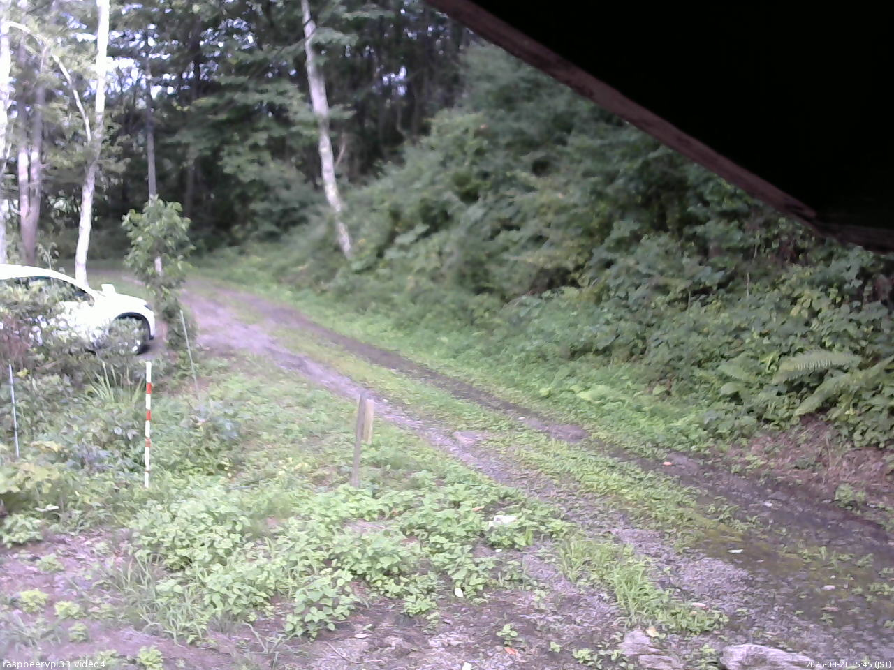 長野県菅平高原 ゆたか山荘 東側(坂下) 2025/08/21 15:45