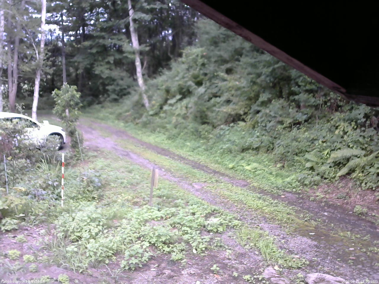 長野県菅平高原 ゆたか山荘 東側(坂下) 2025/08/21 16:00