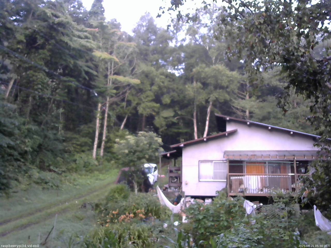 長野県菅平高原 ゆたか山荘 西側(坂上) 2025/08/21 05:30