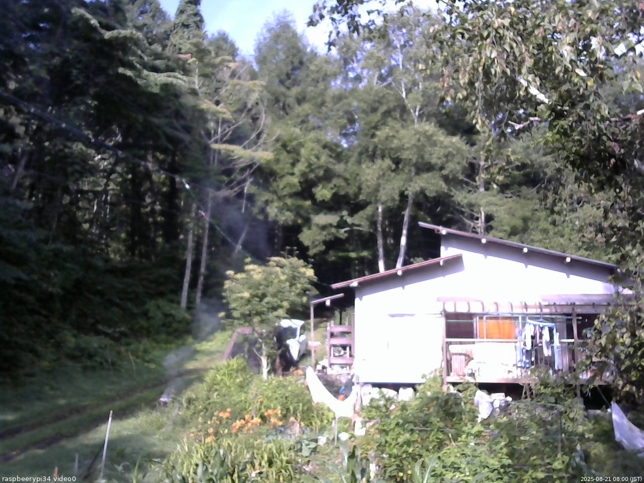 長野県菅平高原 ゆたか山荘 西側(坂上) 2025/08/21 08:00