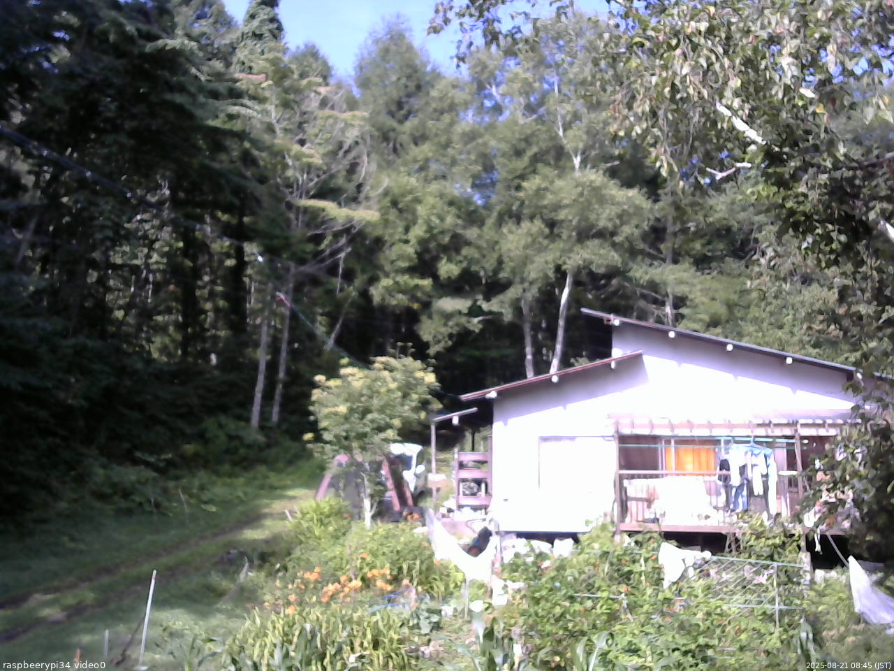 長野県菅平高原 ゆたか山荘 西側(坂上) 2025/08/21 08:45