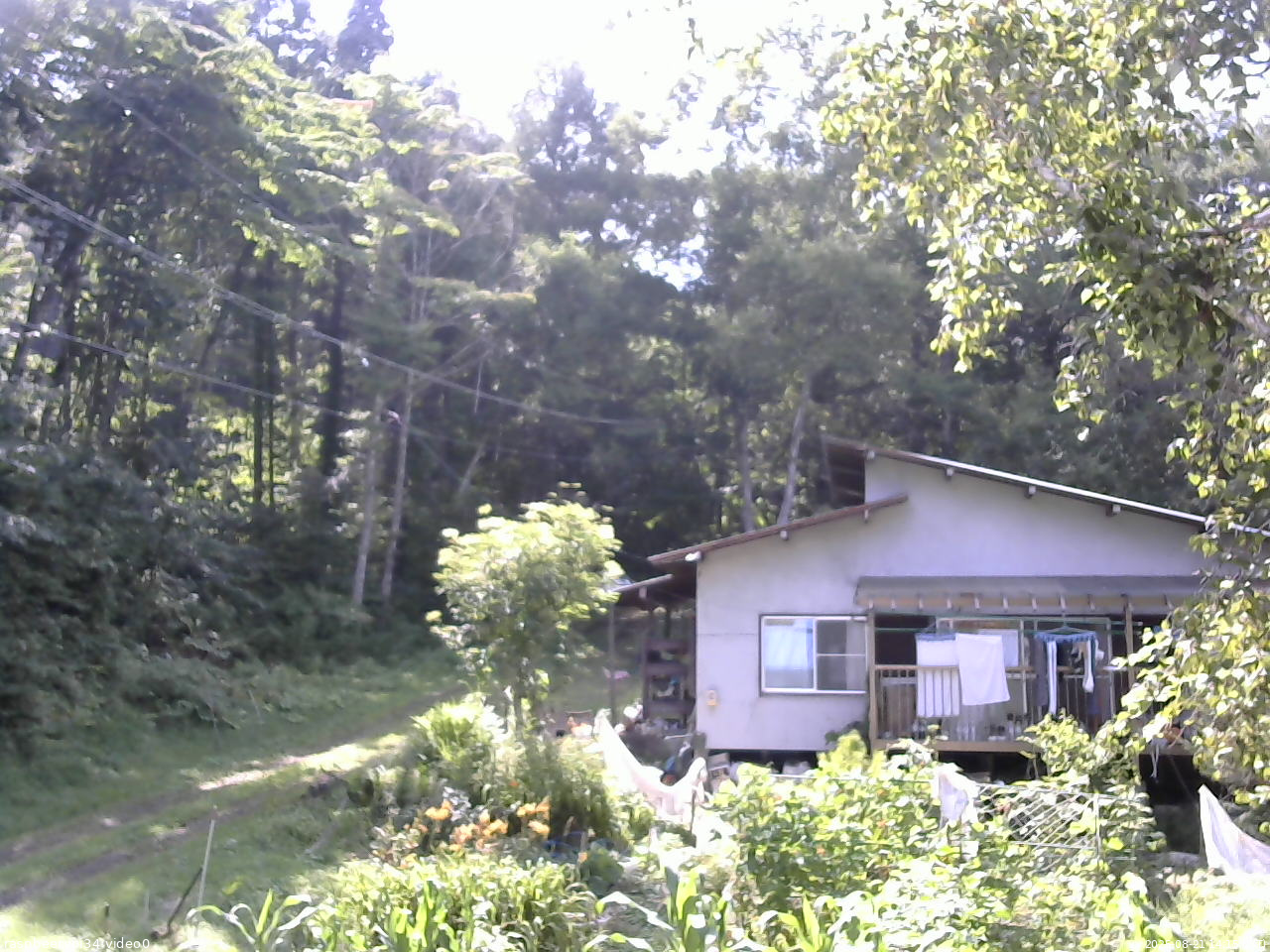 長野県菅平高原 ゆたか山荘 西側(坂上) 2025/08/21 14:15