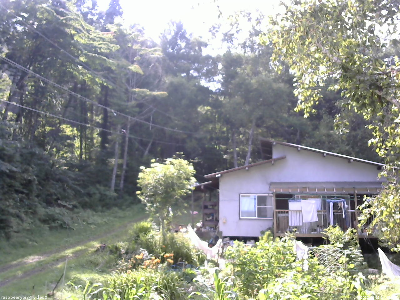 長野県菅平高原 ゆたか山荘 西側(坂上) 2025/08/21 14:45