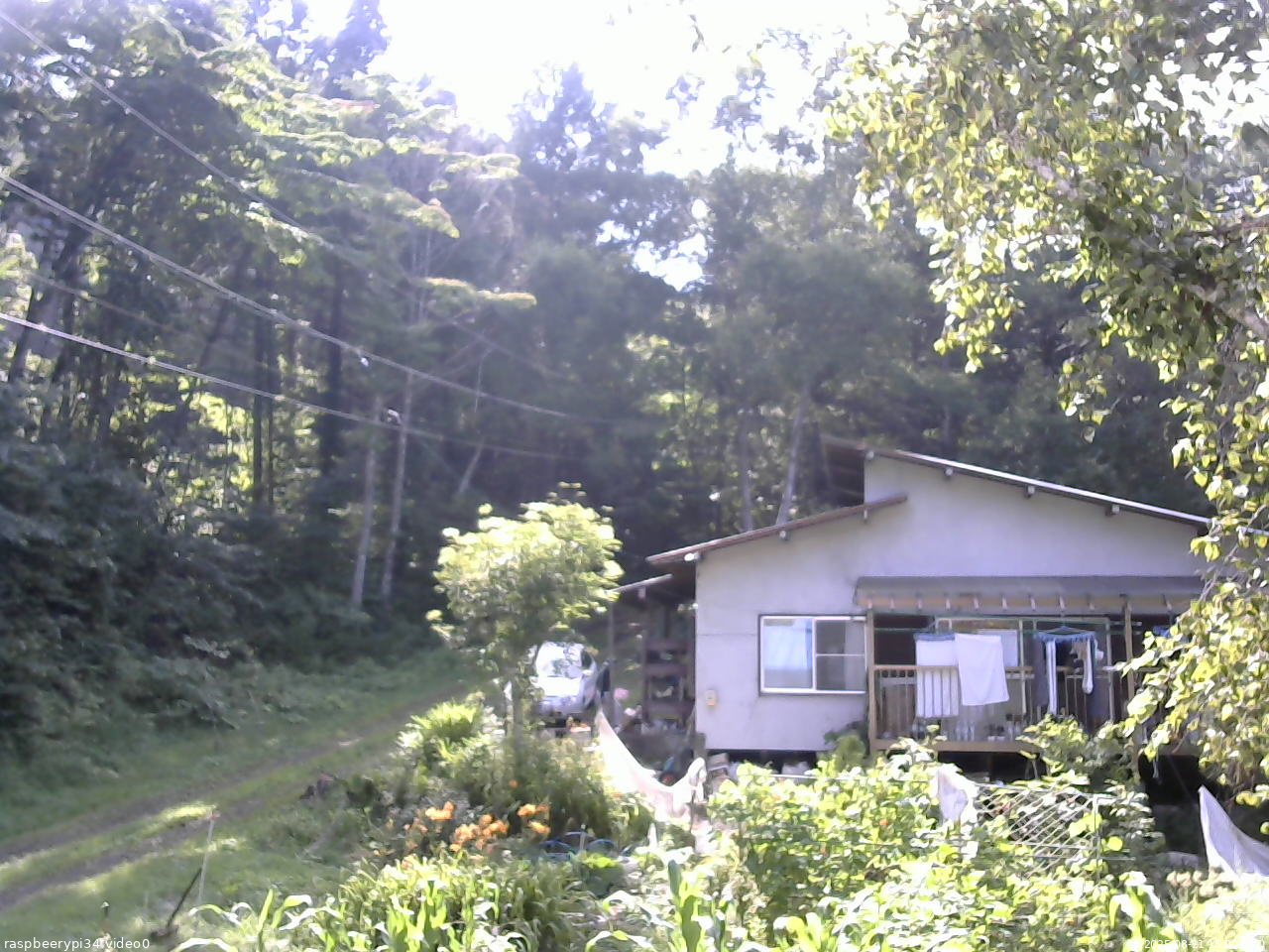 長野県菅平高原 ゆたか山荘 西側(坂上) 2025/08/21 15:00