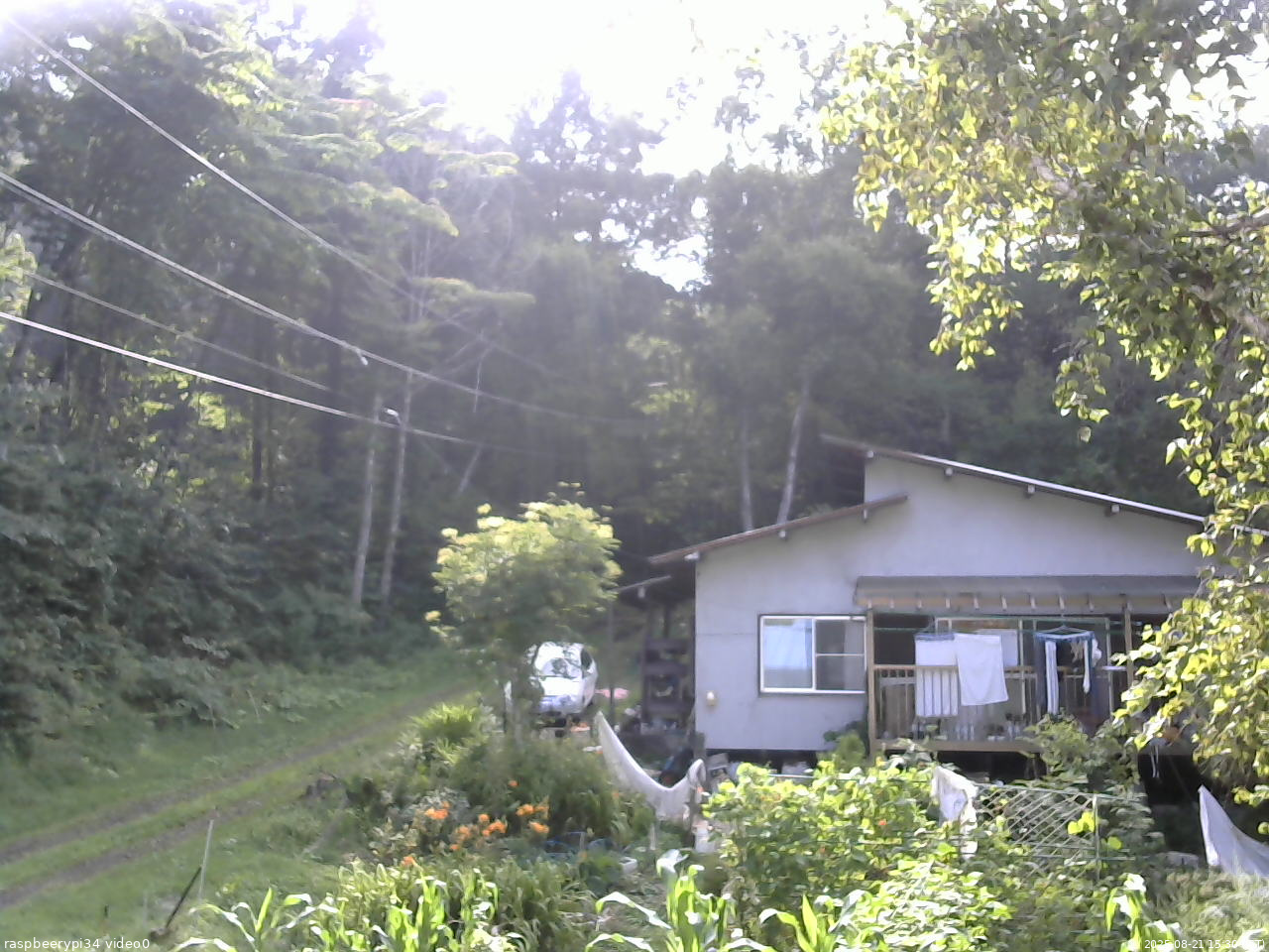 長野県菅平高原 ゆたか山荘 西側(坂上) 2025/08/21 15:30