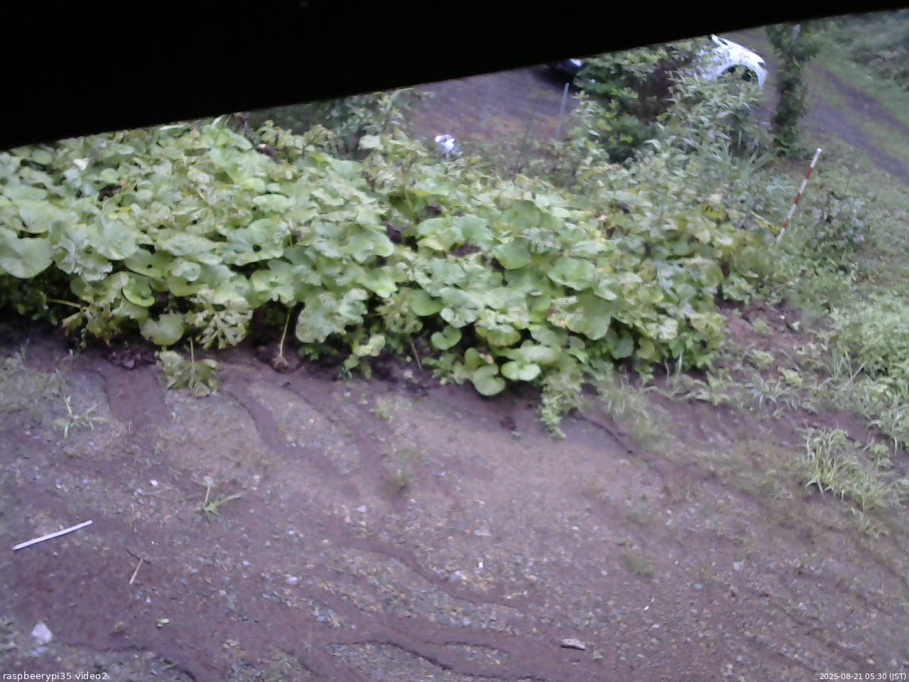 長野県菅平高原 ゆたか山荘 駐車場 2025/08/21 05:30