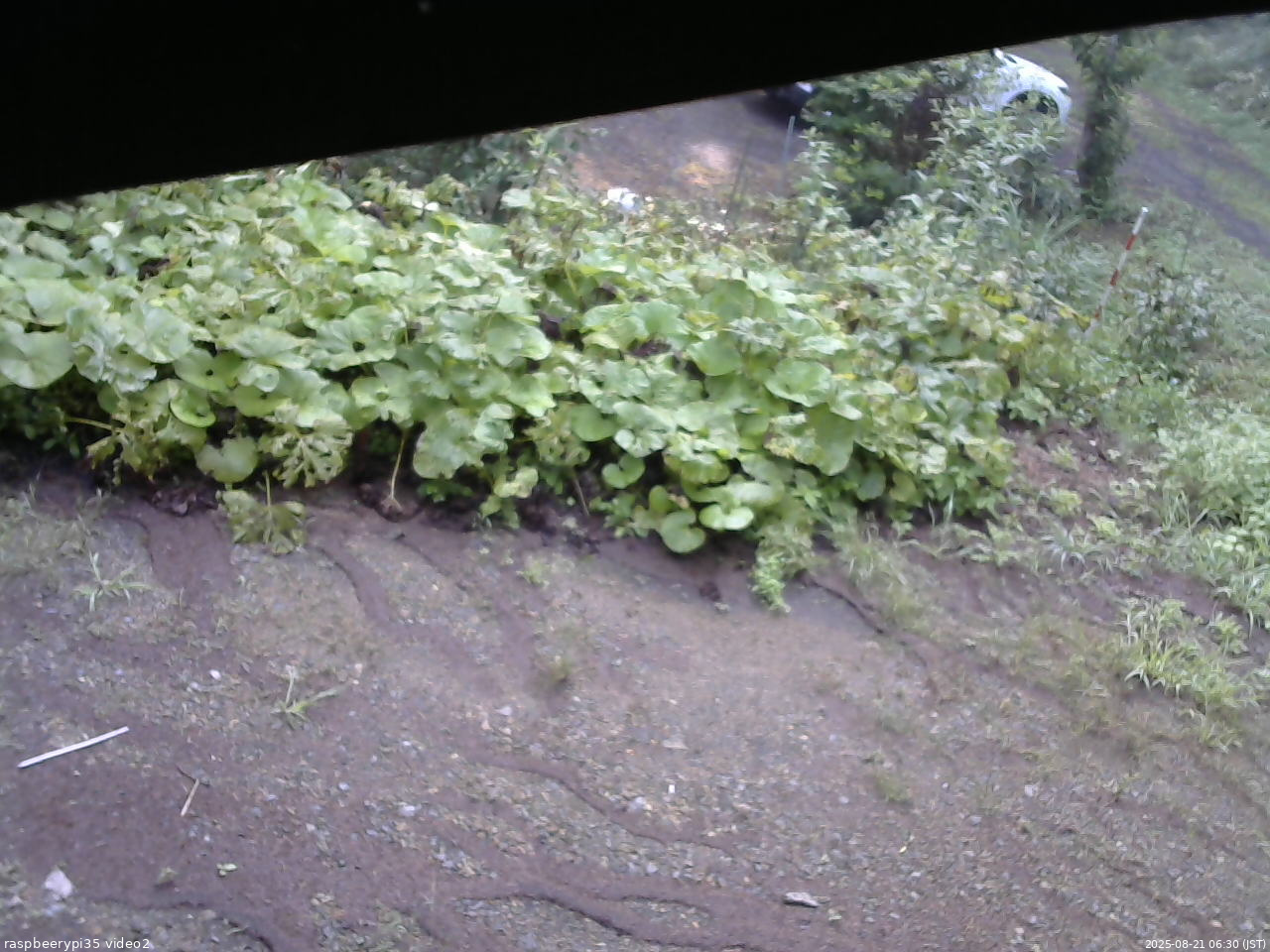 長野県菅平高原 ゆたか山荘 駐車場 2025/08/21 06:30