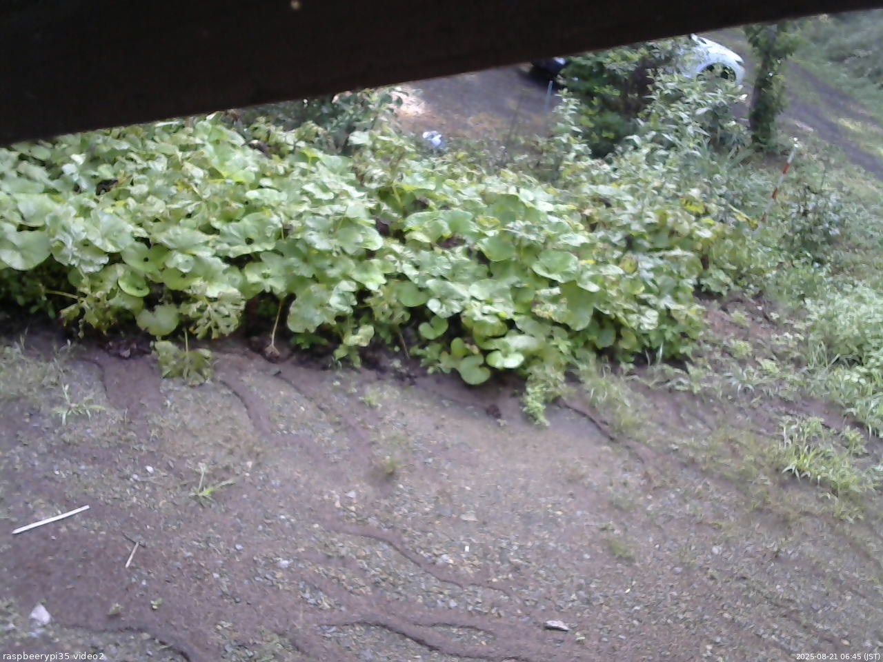 長野県菅平高原 ゆたか山荘 駐車場 2025/08/21 06:45