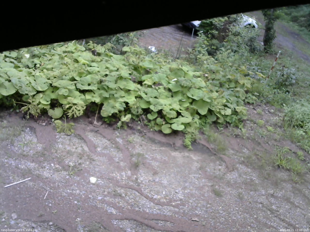長野県菅平高原 ゆたか山荘 駐車場 2025/08/21 12:00