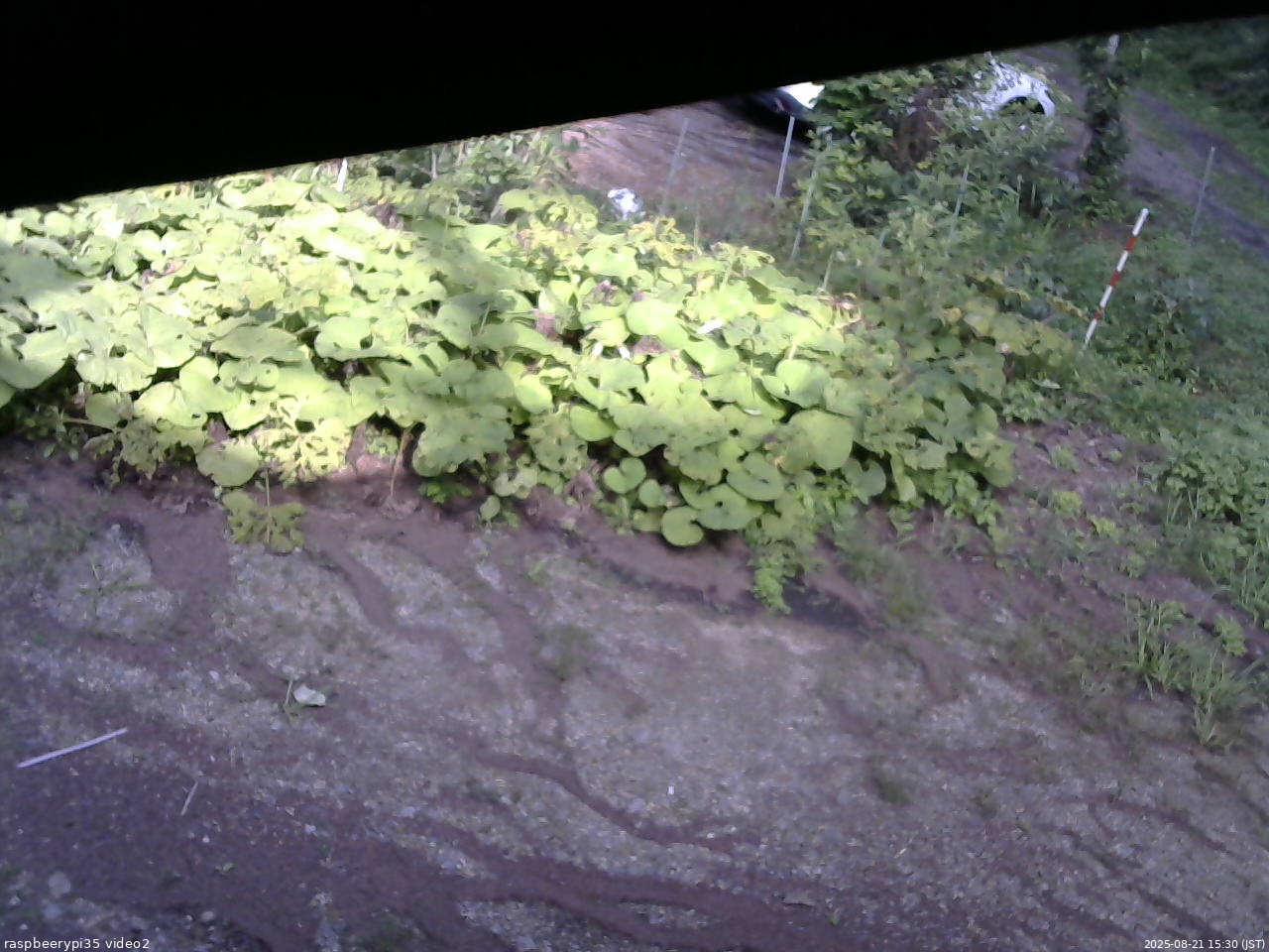 長野県菅平高原 ゆたか山荘 駐車場 2025/08/21 15:30