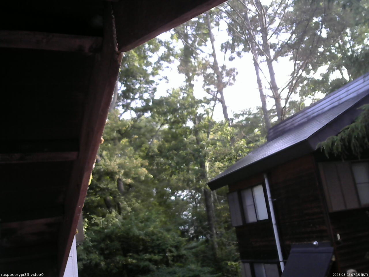 長野県菅平高原 ゆたか山荘 北側 2025/08/22 07:15