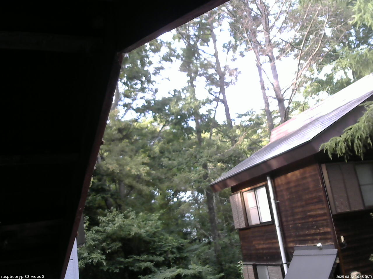 長野県菅平高原 ゆたか山荘 北側 2025/08/22 16:45