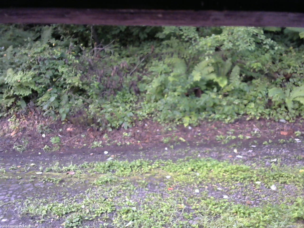 長野県菅平高原 ゆたか山荘 南側 2025/08/22 06:15