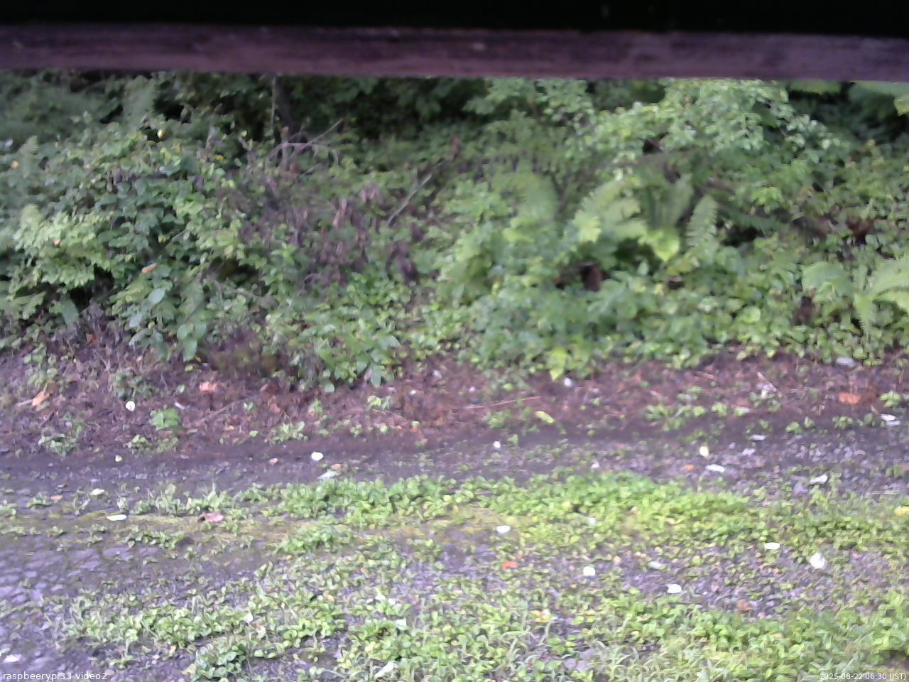 長野県菅平高原 ゆたか山荘 南側 2025/08/22 06:30