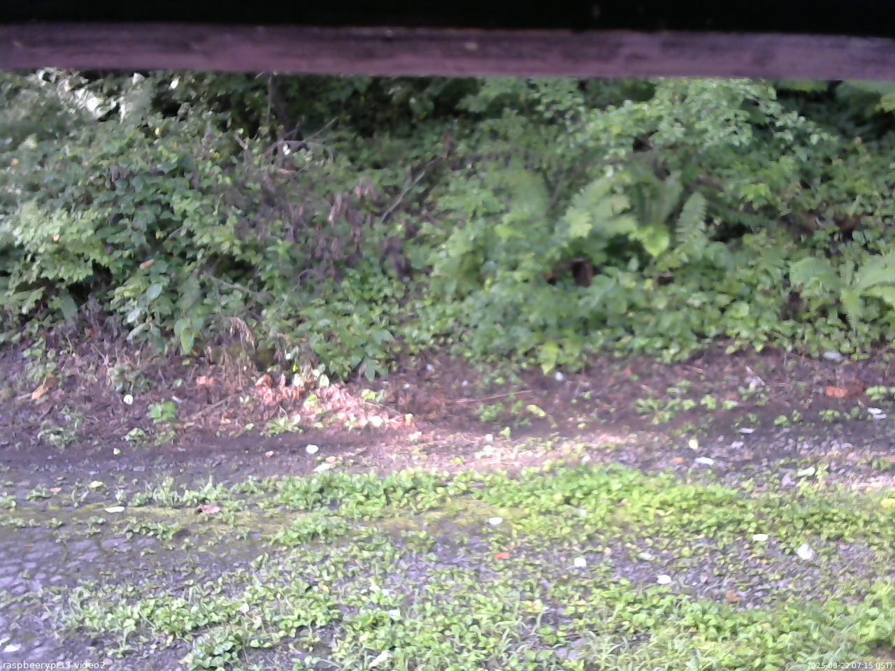 長野県菅平高原 ゆたか山荘 南側 2025/08/22 07:15