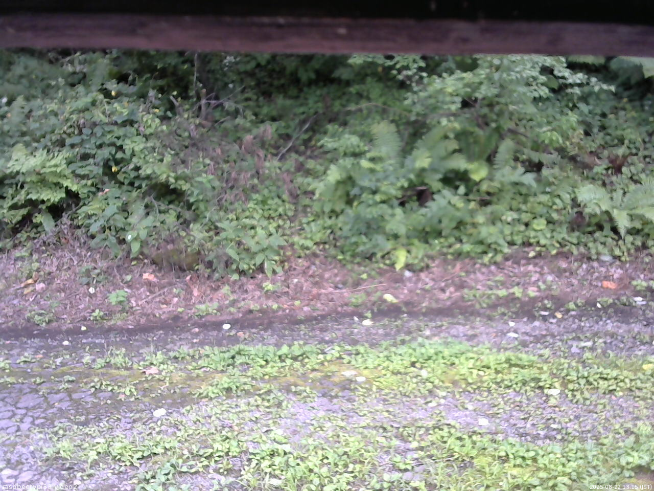 長野県菅平高原 ゆたか山荘 南側 2025/08/22 13:15