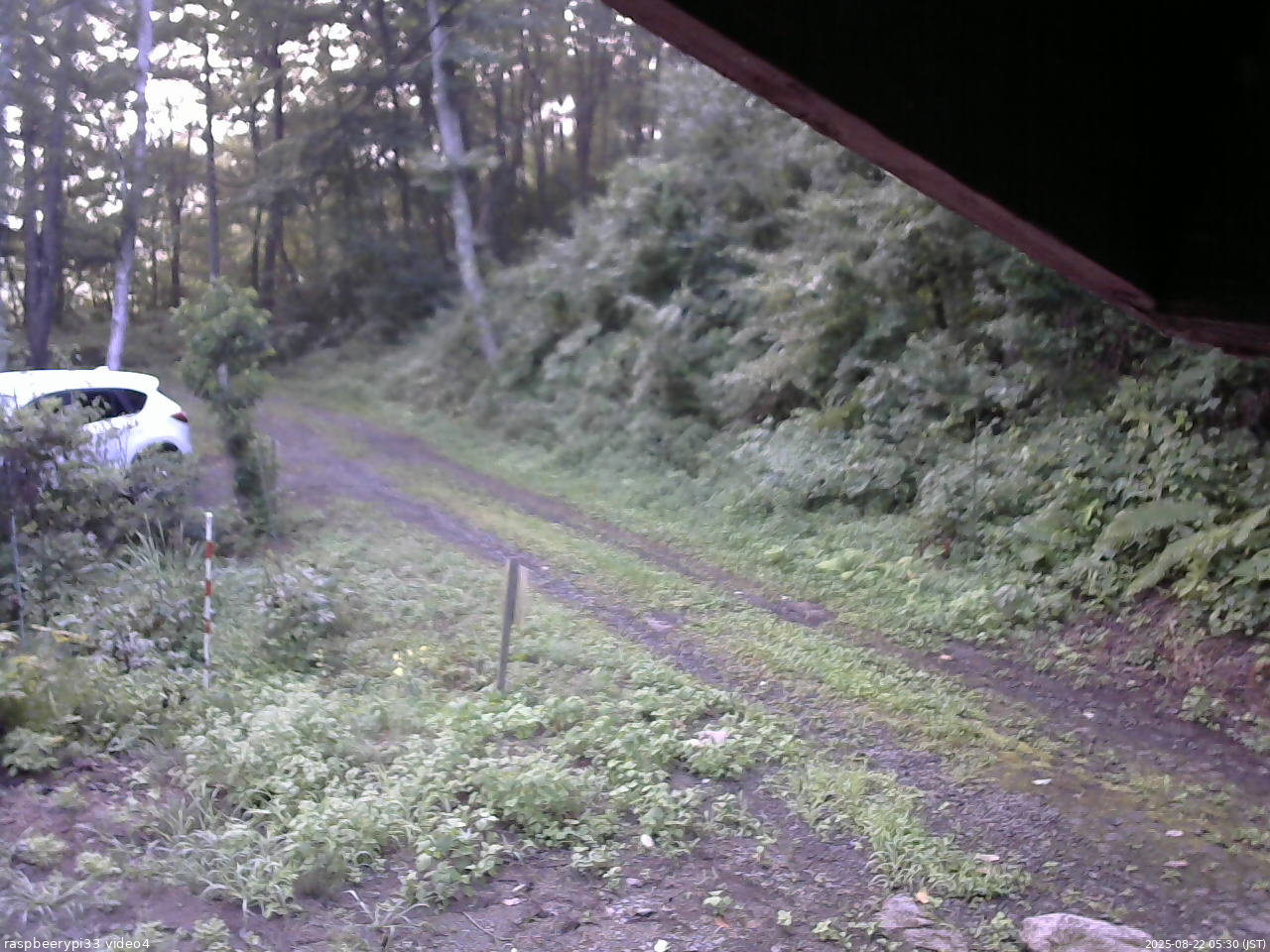 長野県菅平高原 ゆたか山荘 東側(坂下) 2025/08/22 05:30