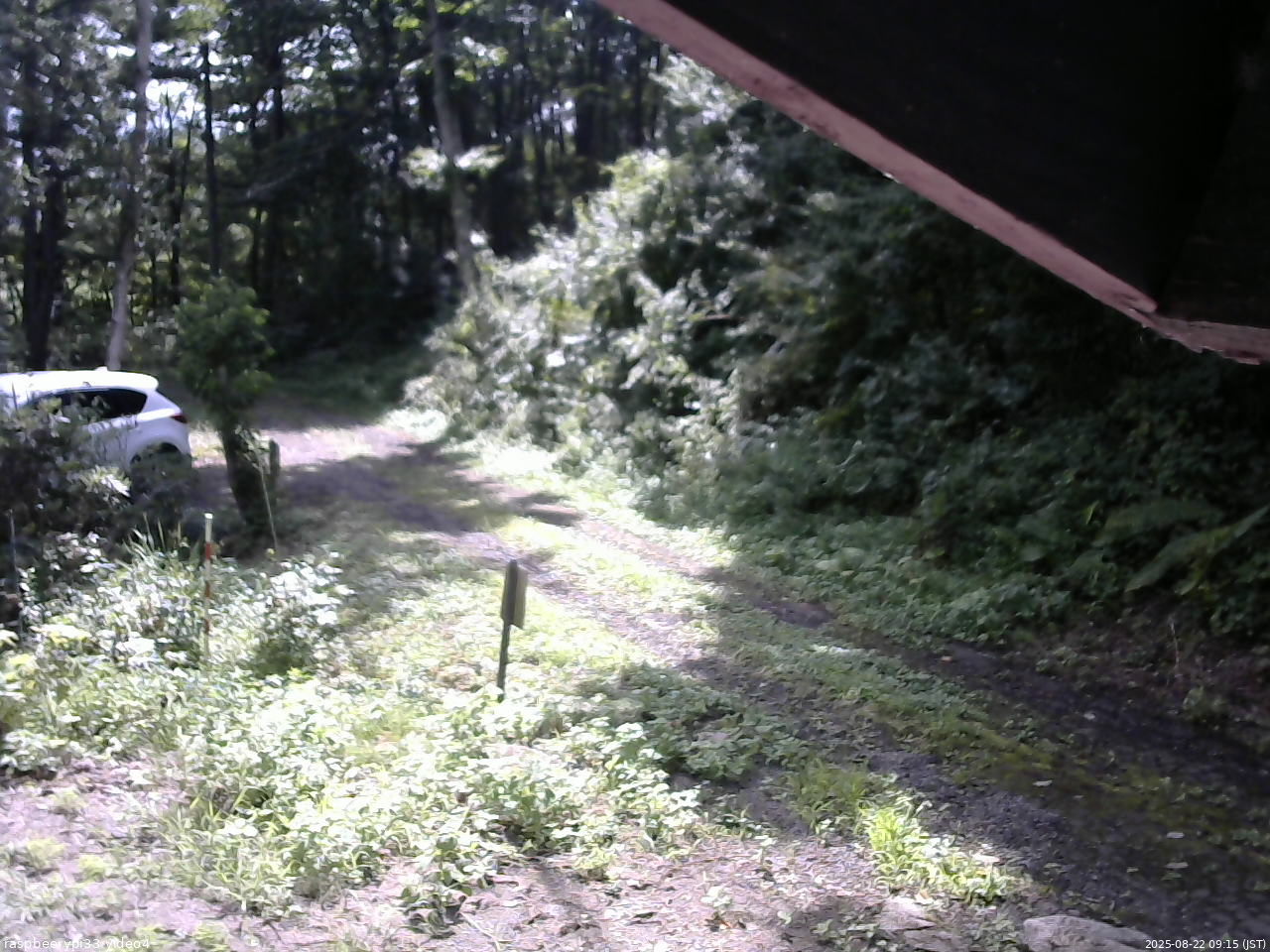 長野県菅平高原 ゆたか山荘 東側(坂下) 2025/08/22 09:15