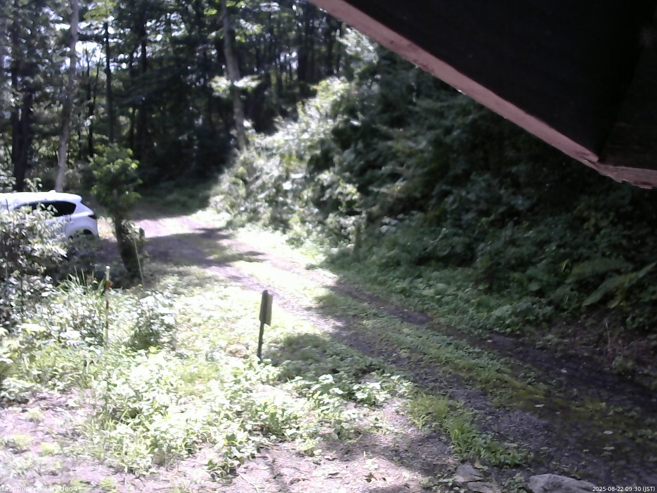 長野県菅平高原 ゆたか山荘 東側(坂下) 2025/08/22 09:30