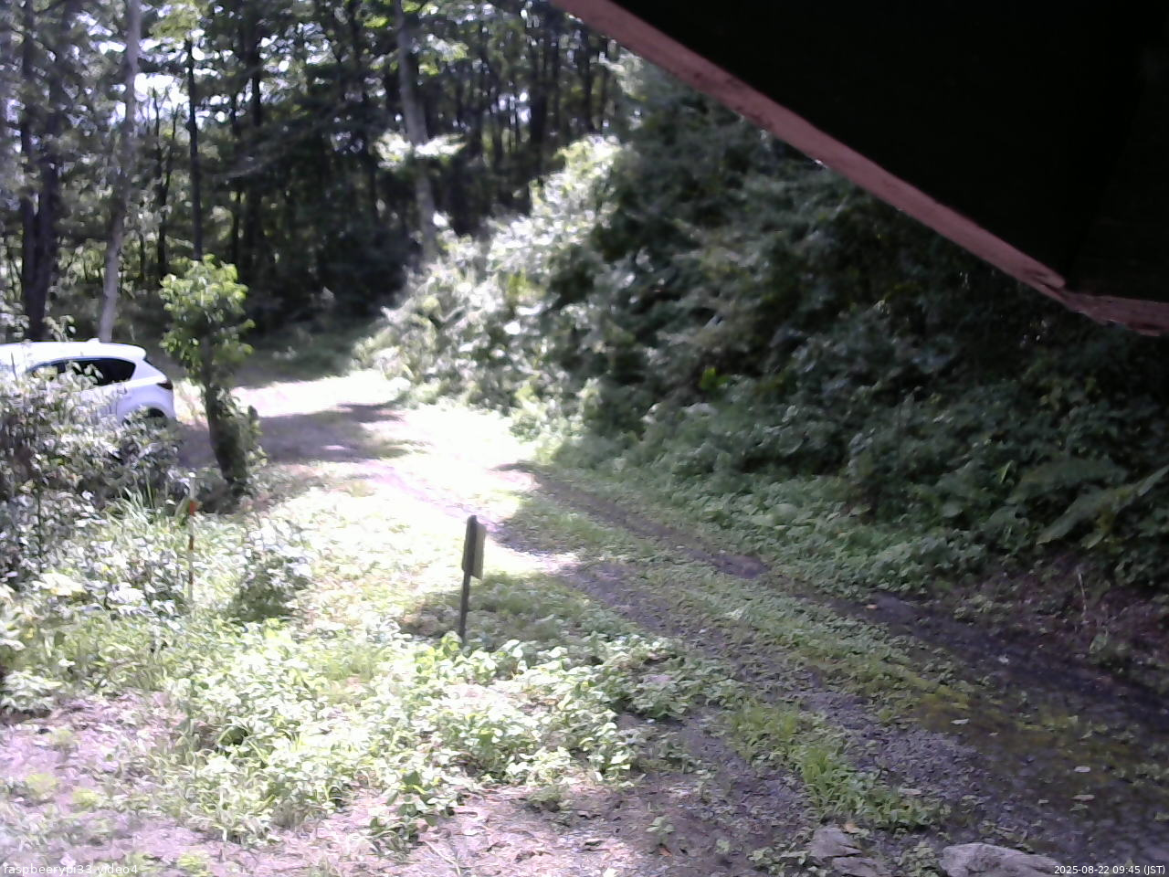 長野県菅平高原 ゆたか山荘 東側(坂下) 2025/08/22 09:45