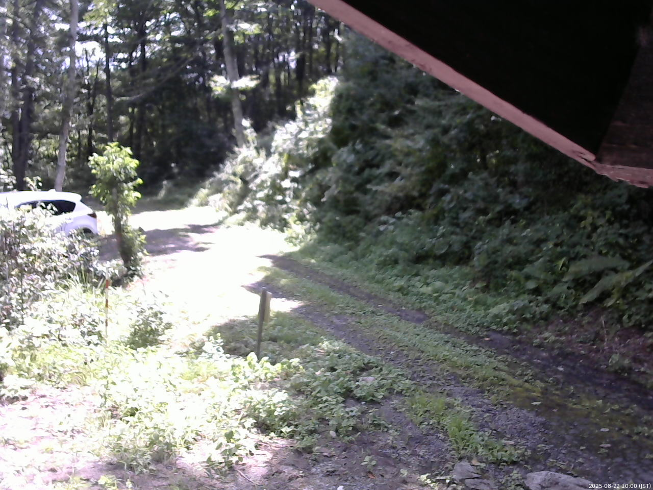 長野県菅平高原 ゆたか山荘 東側(坂下) 2025/08/22 10:00