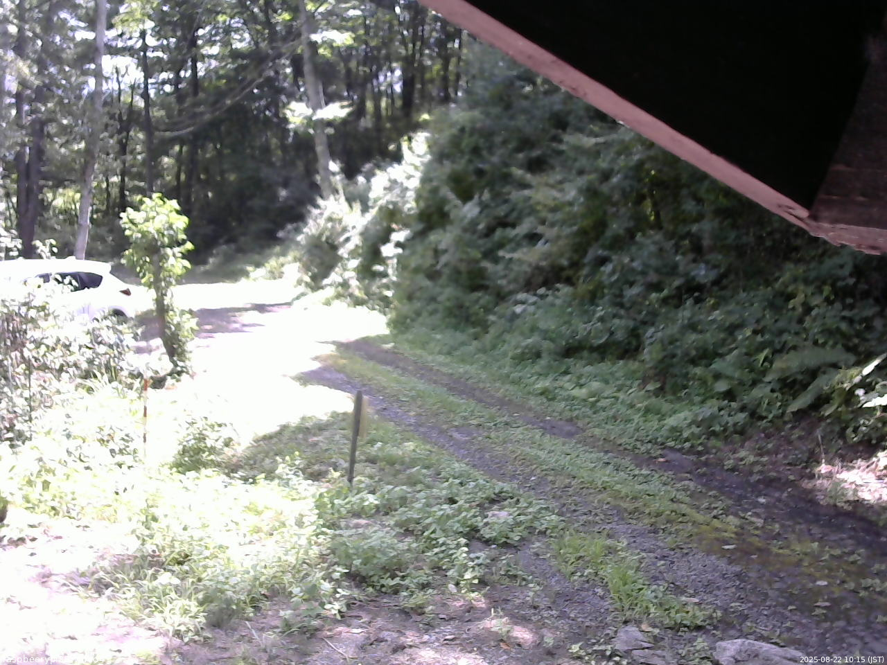 長野県菅平高原 ゆたか山荘 東側(坂下) 2025/08/22 10:15