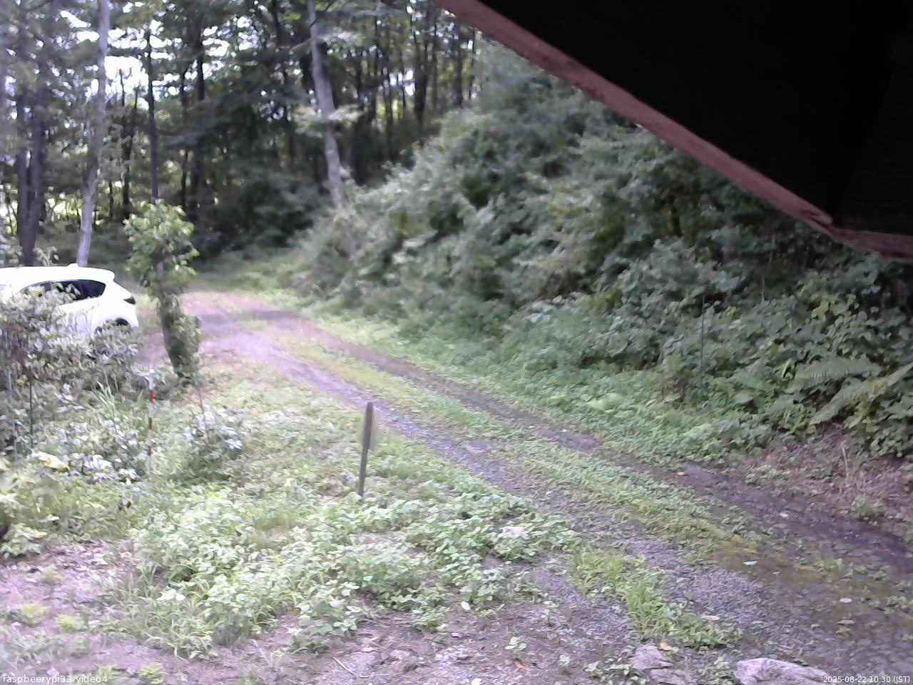 長野県菅平高原 ゆたか山荘 東側(坂下) 2025/08/22 10:30