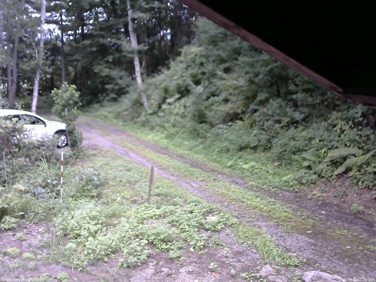 長野県菅平高原 ゆたか山荘 東側(坂下) 2025/08/22 12:15