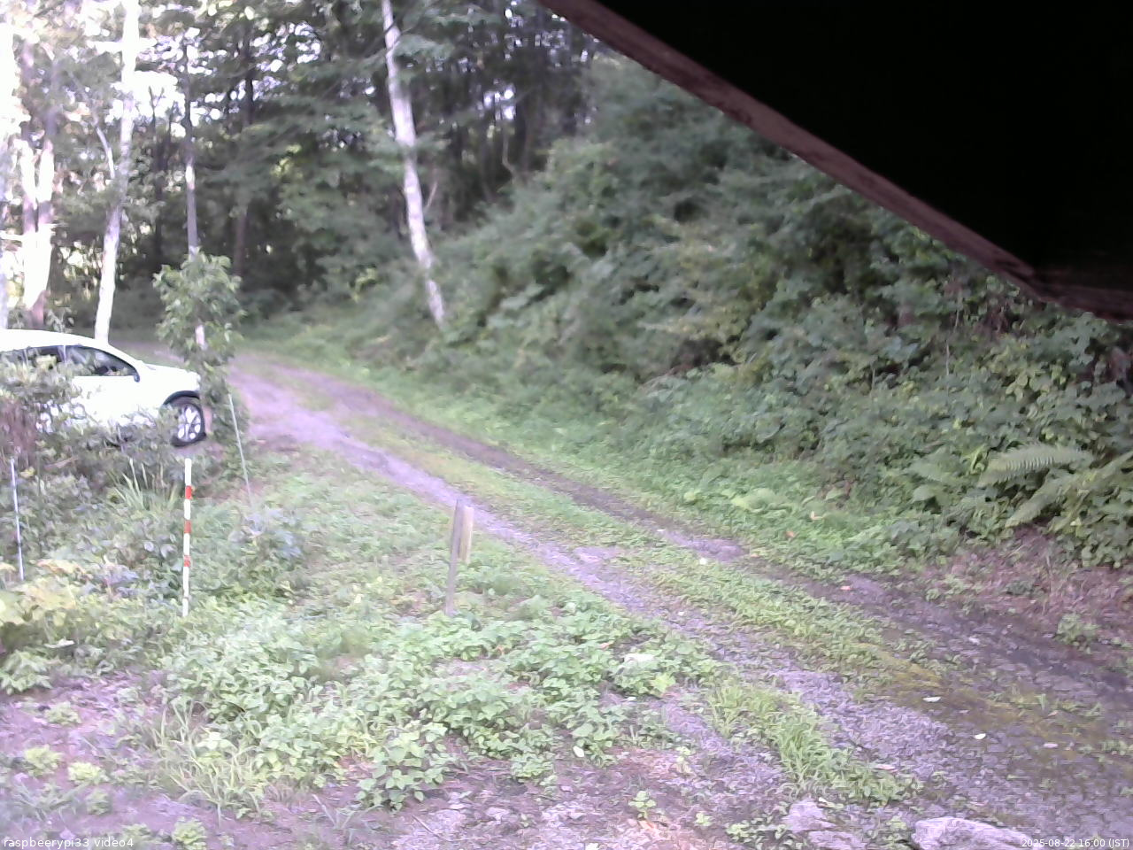 長野県菅平高原 ゆたか山荘 東側(坂下) 2025/08/22 16:00