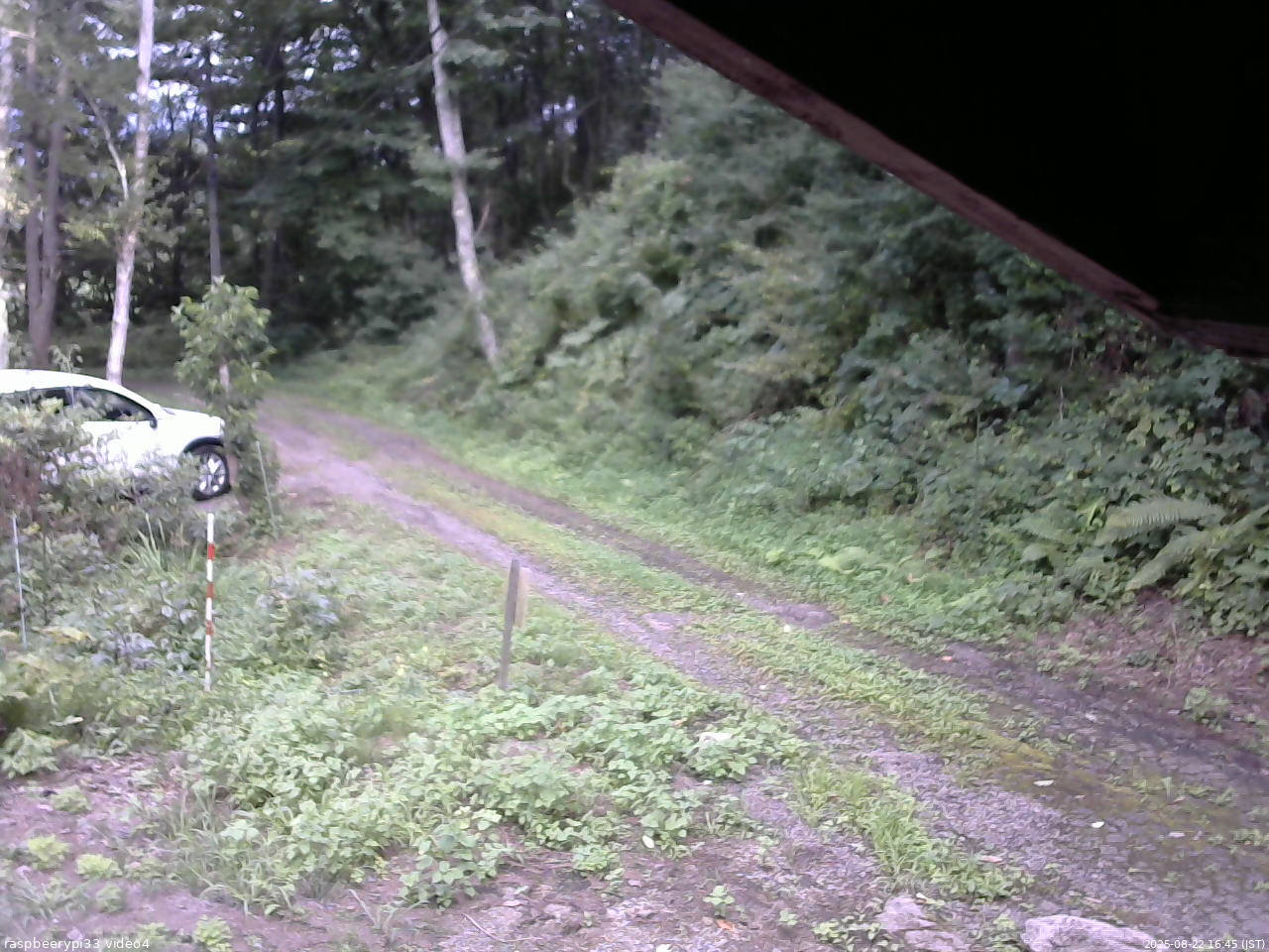 長野県菅平高原 ゆたか山荘 東側(坂下) 2025/08/22 16:45