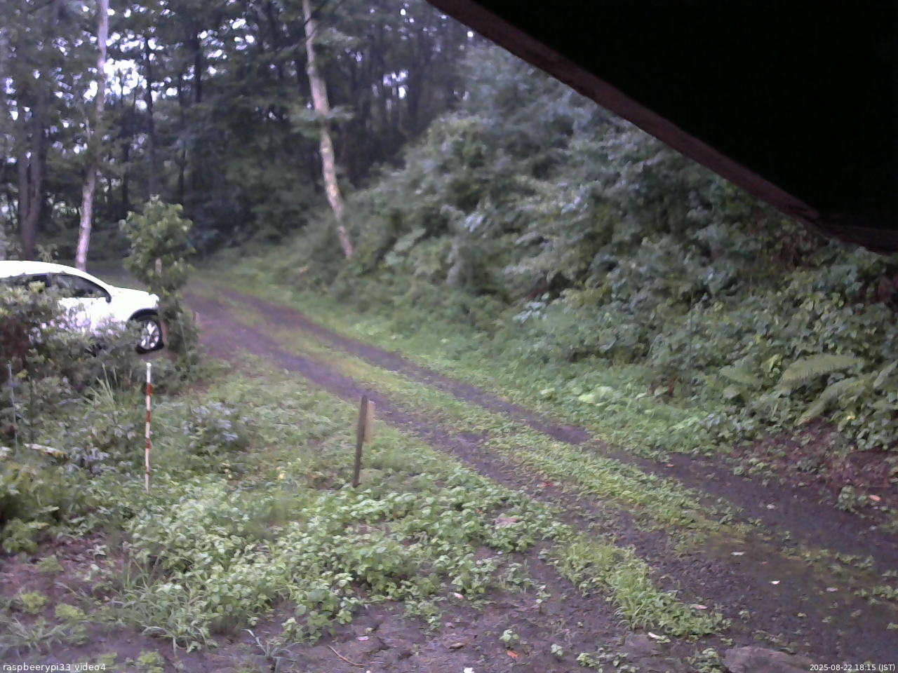 長野県菅平高原 ゆたか山荘 東側(坂下) 2025/08/22 18:15