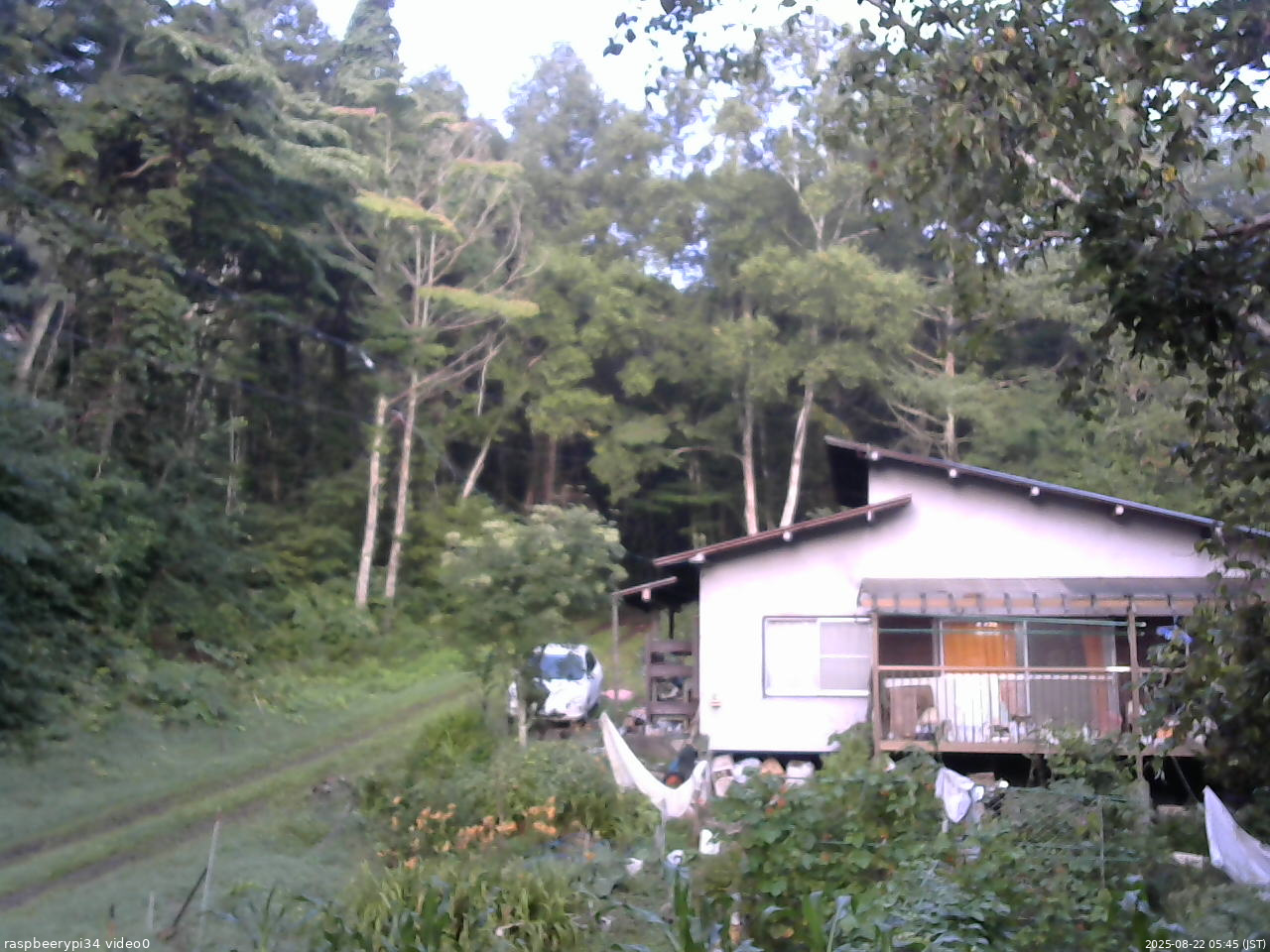 長野県菅平高原 ゆたか山荘 西側(坂上) 2025/08/22 05:45