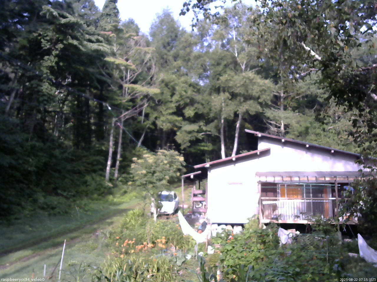 長野県菅平高原 ゆたか山荘 西側(坂上) 2025/08/22 07:15