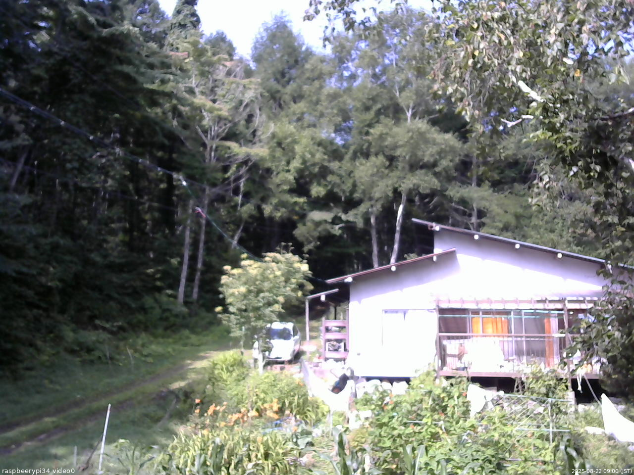 長野県菅平高原 ゆたか山荘 西側(坂上) 2025/08/22 09:00