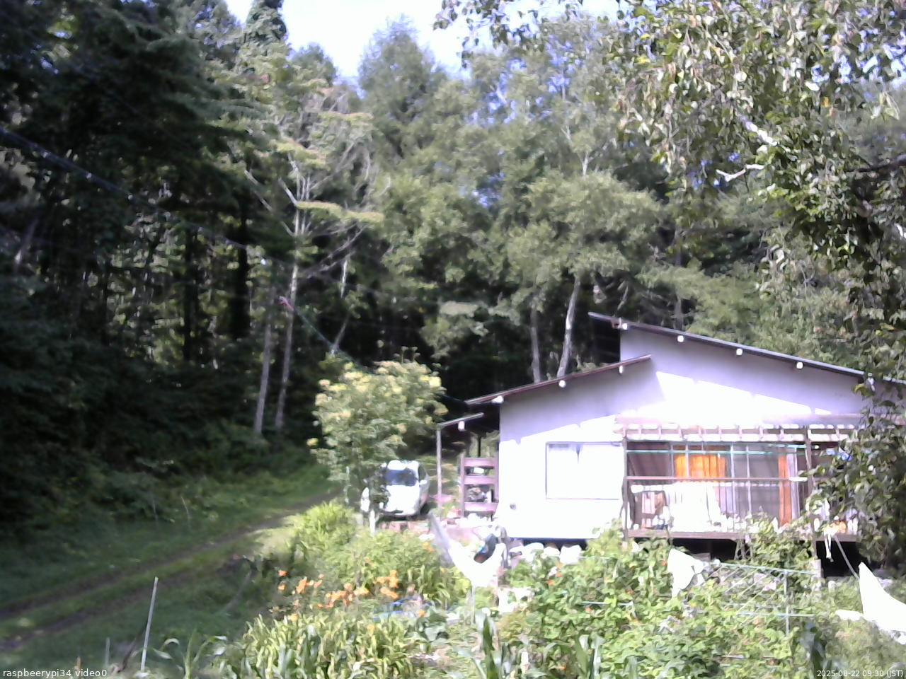 長野県菅平高原 ゆたか山荘 西側(坂上) 2025/08/22 09:30