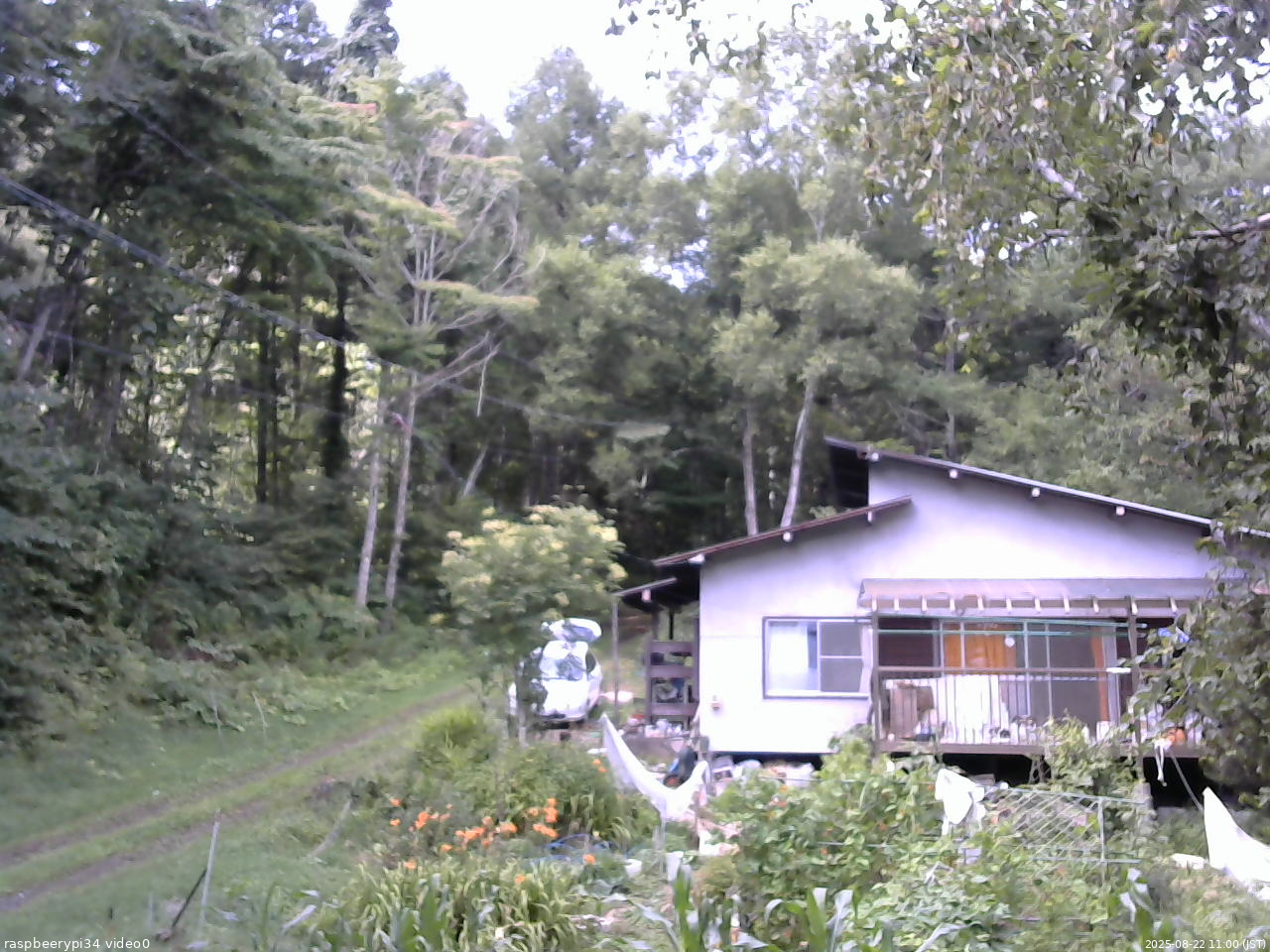 長野県菅平高原 ゆたか山荘 西側(坂上) 2025/08/22 11:00