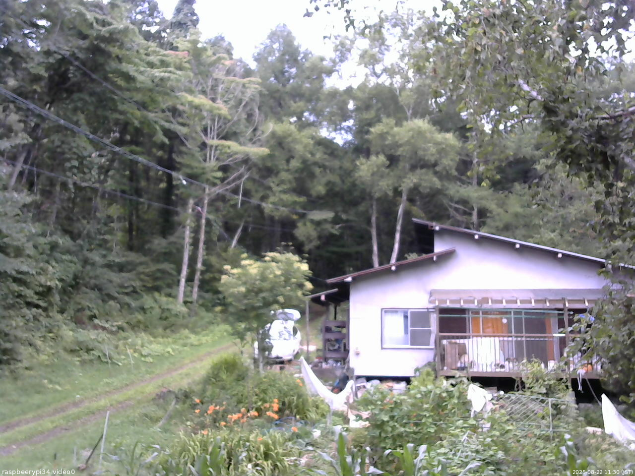 長野県菅平高原 ゆたか山荘 西側(坂上) 2025/08/22 11:30