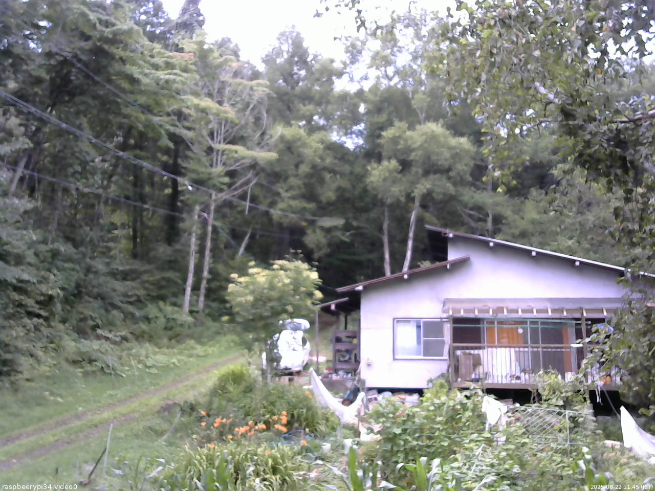 長野県菅平高原 ゆたか山荘 西側(坂上) 2025/08/22 11:45