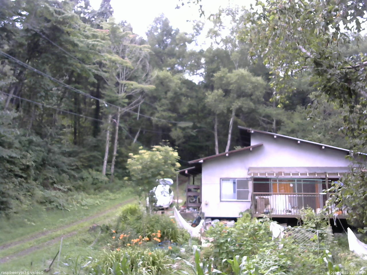 長野県菅平高原 ゆたか山荘 西側(坂上) 2025/08/22 13:30