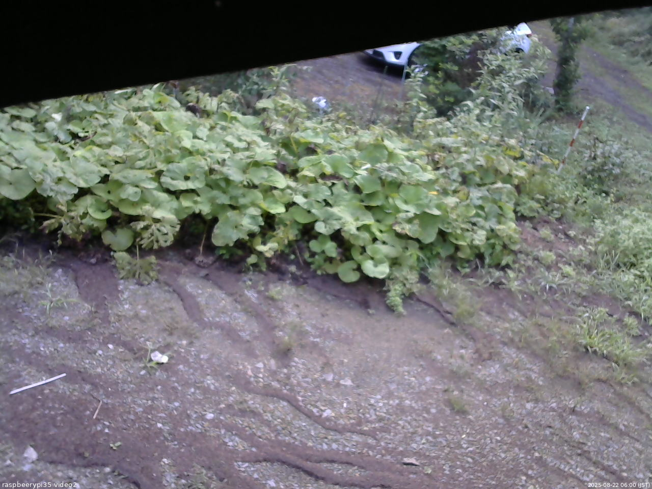 長野県菅平高原 ゆたか山荘 駐車場 2025/08/22 06:00