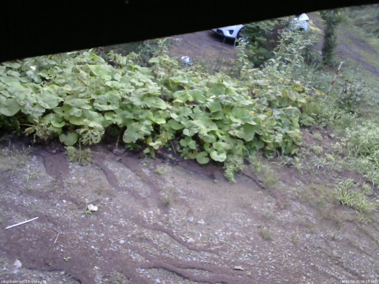 長野県菅平高原 ゆたか山荘 駐車場 2025/08/22 06:15